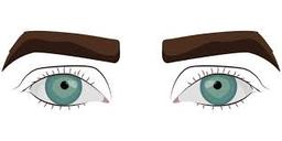 چند نکته مهم در رابطه با ورم چشم بعد از کاشت ابرو