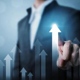 سطوح تعالی در مدل تعالی بازرگانی