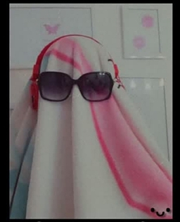ماجراهای اتوبوس۱