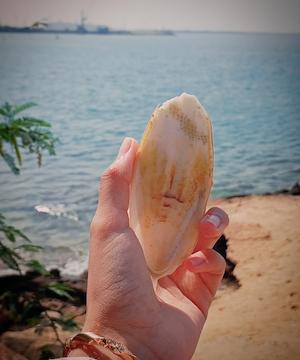 شوربختی بین که در آغوشِ دریا سوختم...