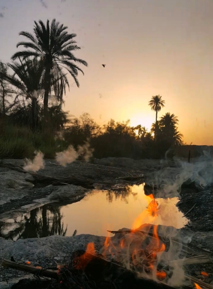 از من آموخته آتش روشِ مردن را...