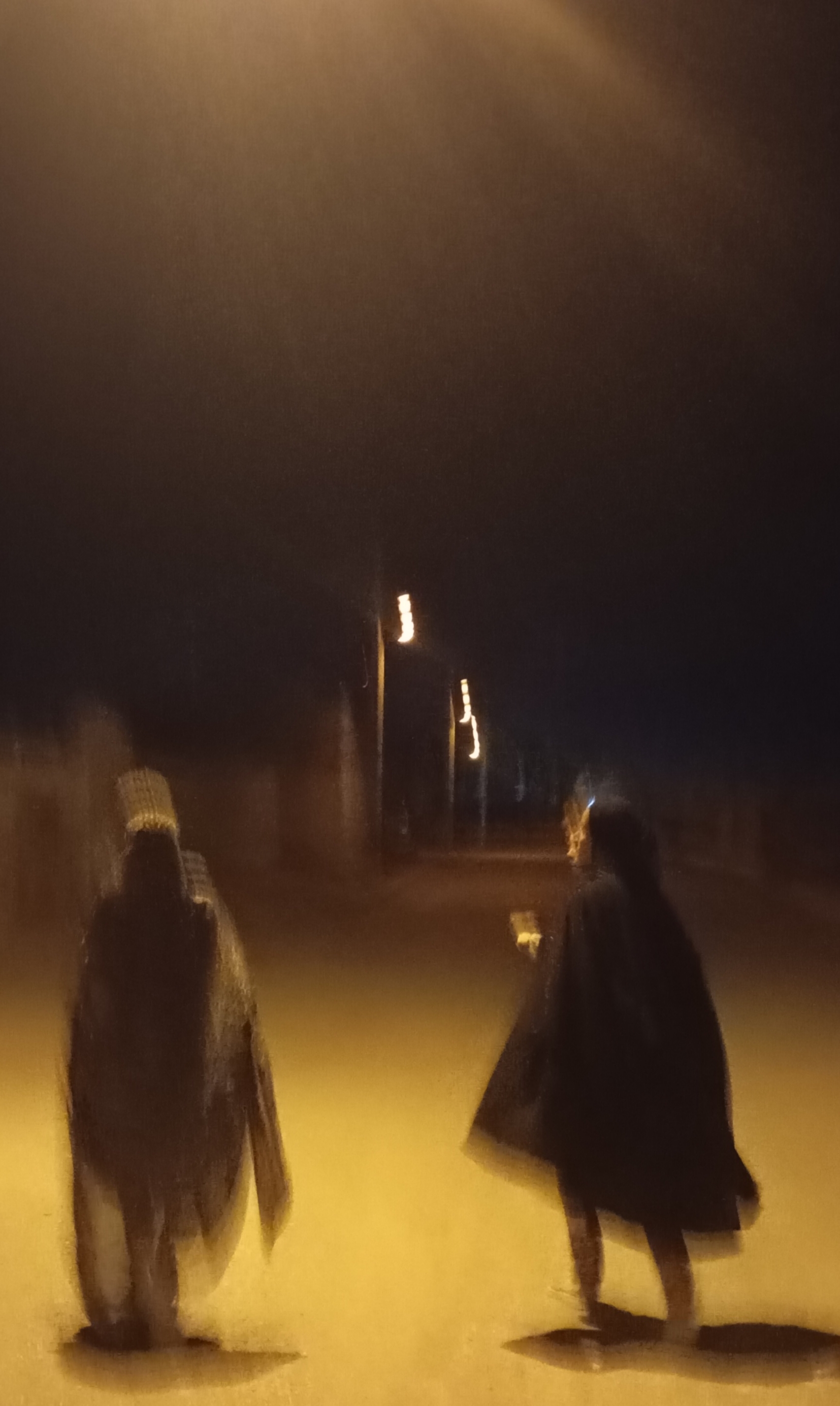 چون سایه در سفرها پابندِ دیگرانیم هرکس به راه افتاد با خویش برد ما را...