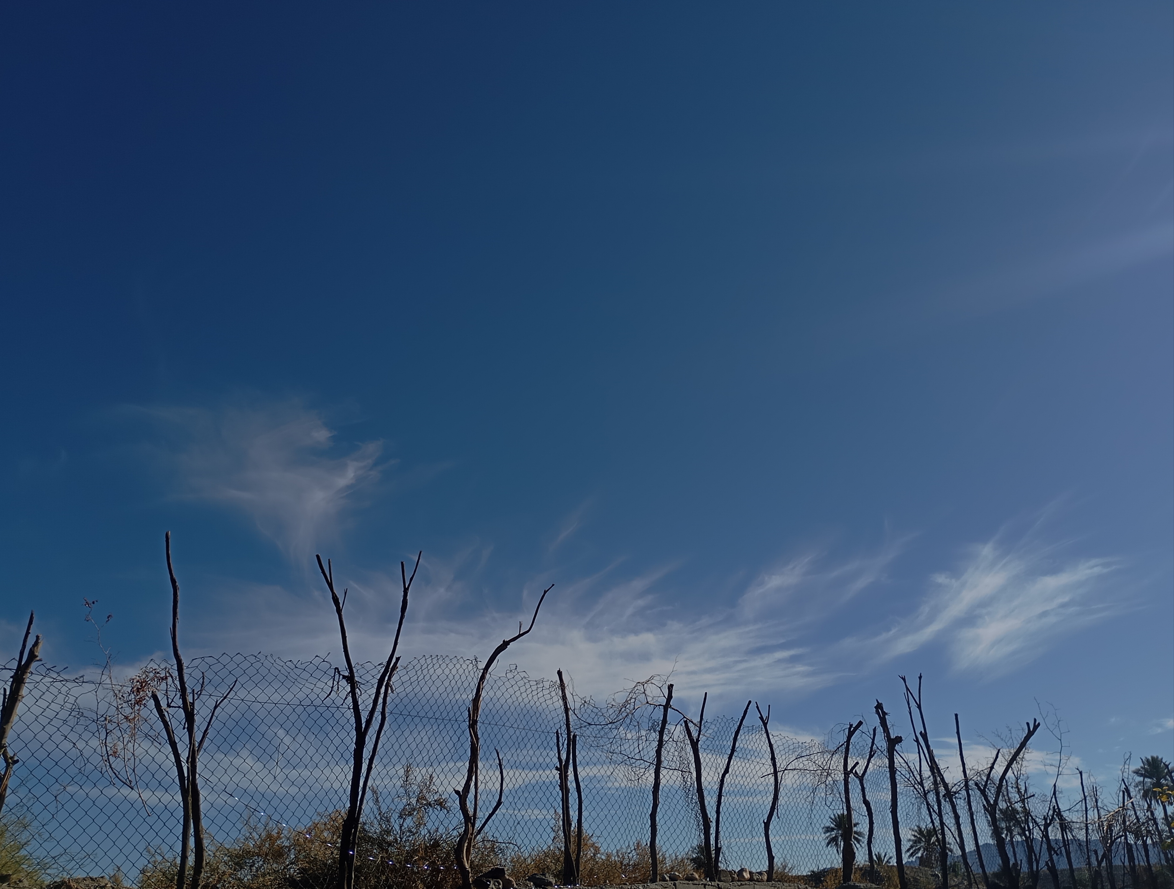 بهار اگر برسد از حصار میگذرد...