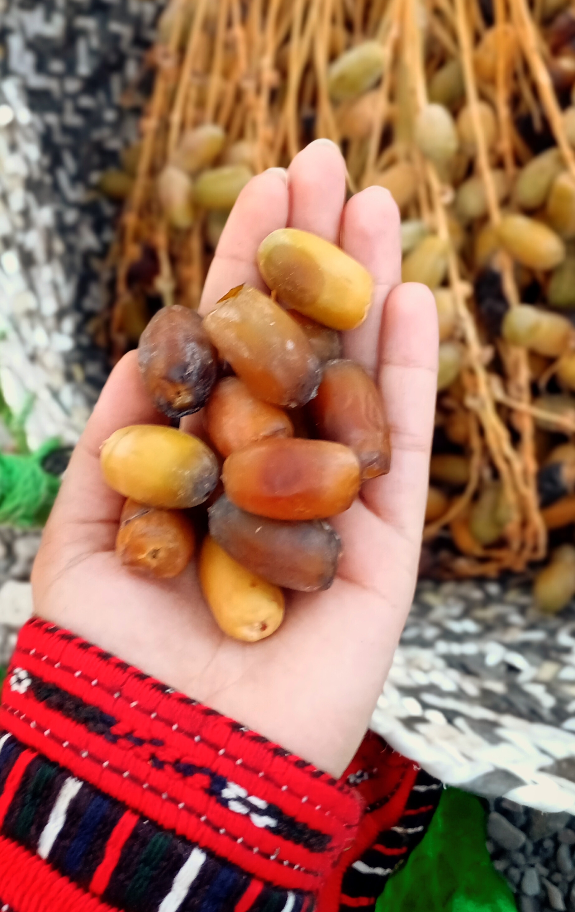 دست ما کوتاه و خرما بر نَخیل.