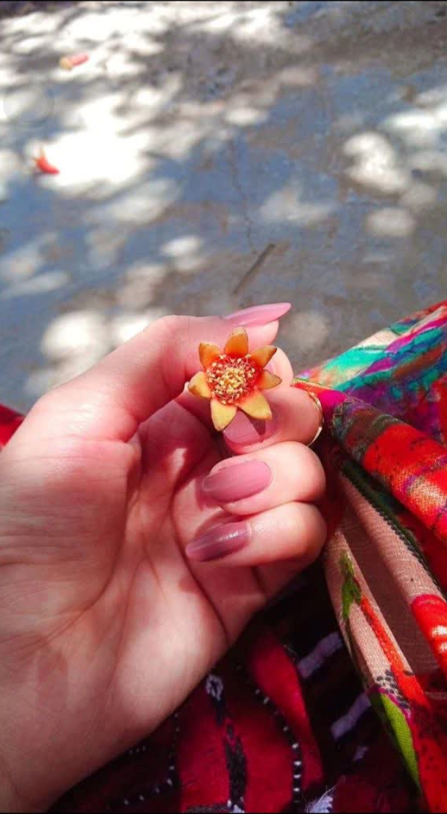 شرح این روزهایم