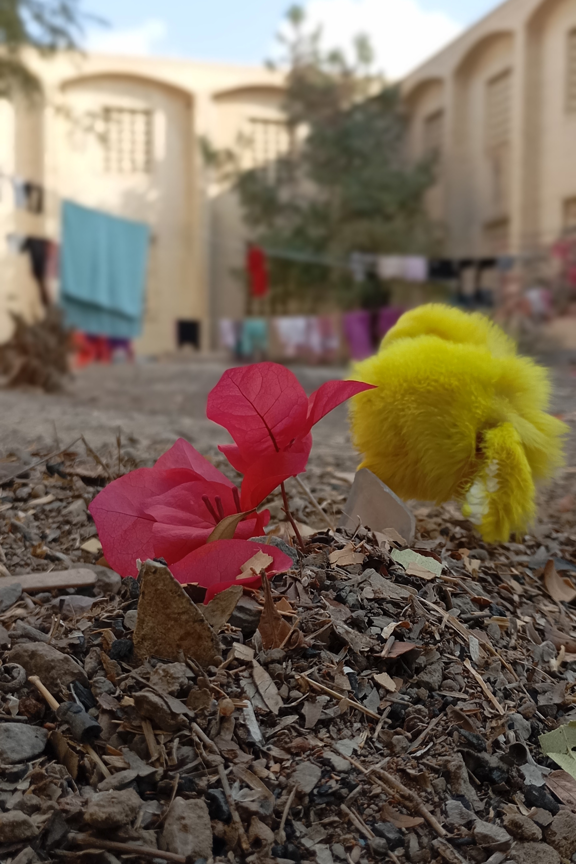 منم همینطور کوروش