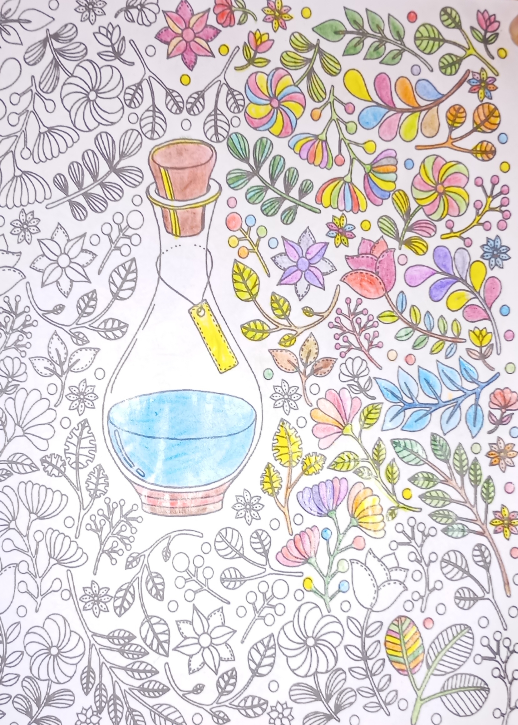 من اینو گرفتم گفتم وقتایی که اعصابم خورد میشه رنگش کنم آروم بشم زهرا گفت همون لحظه من داشتم فکر میکردم اعصاب آدمو خورد می‌کنه با این‌همه جزئیات