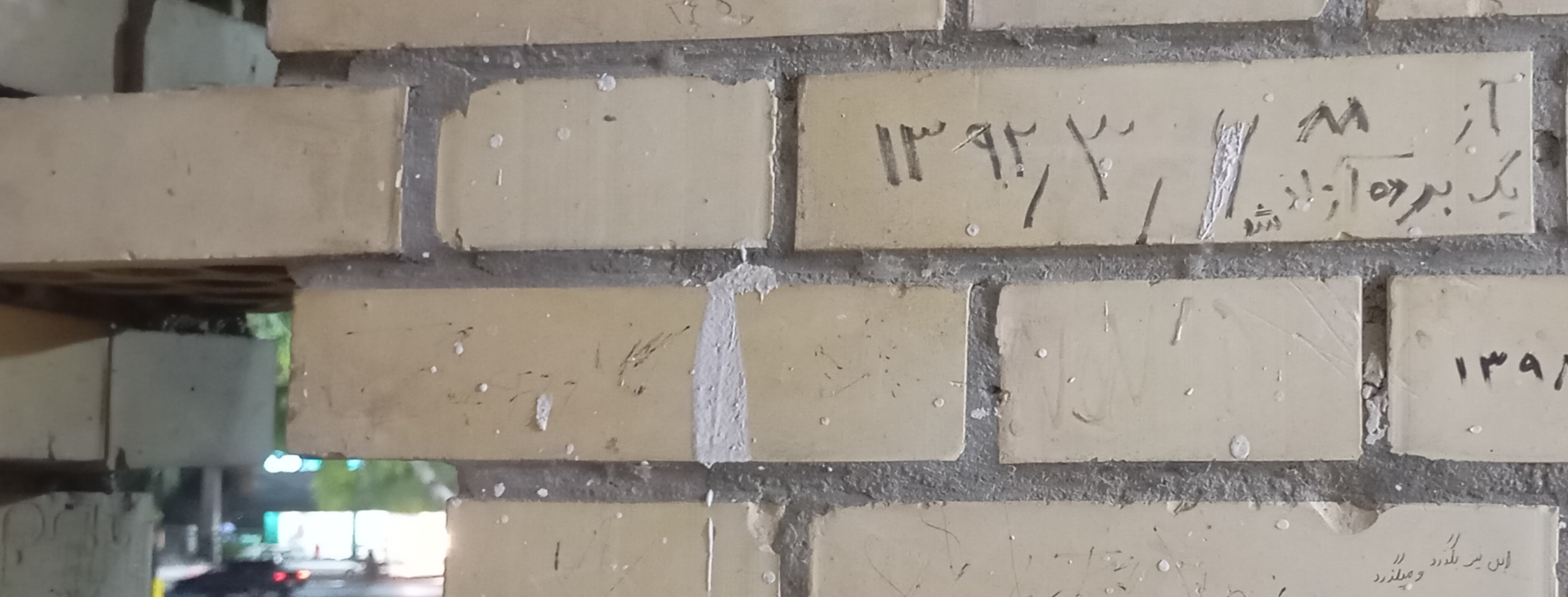 یک برده آزاد شد