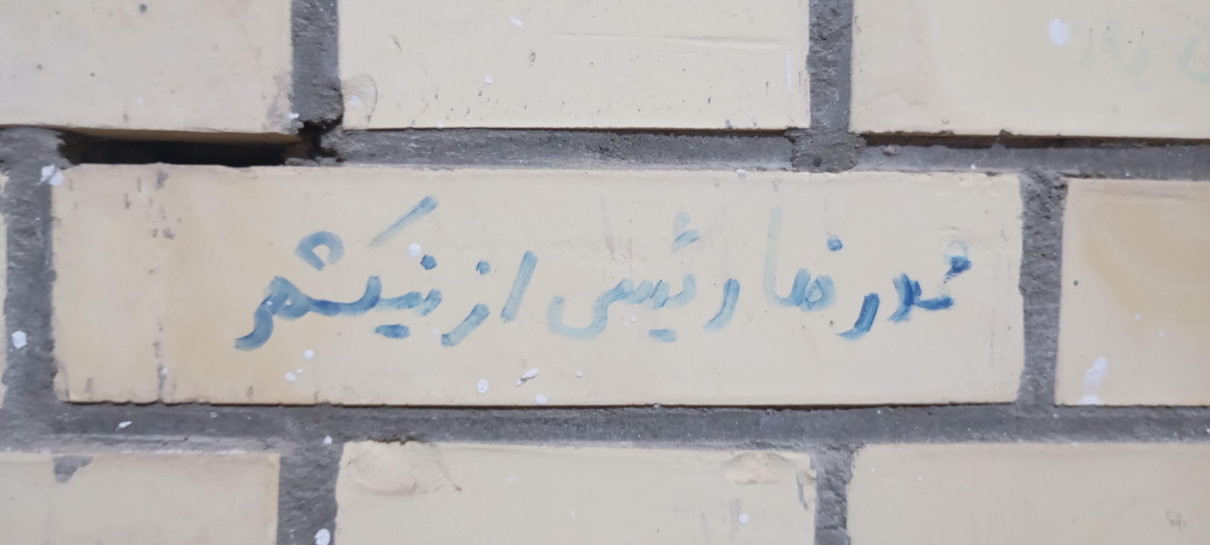 حالا کجایی محمدرضا؟