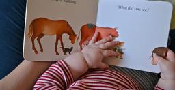 آدم‌های خوب با كتاب‌خواندن خوب‌تر می‌شوند و آدم‌های بد، بدتر!