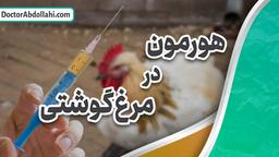 عدم استفاده از هورمون در پرورش مرغ گوشتی