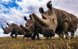 زمین هنوز هم زیباست!