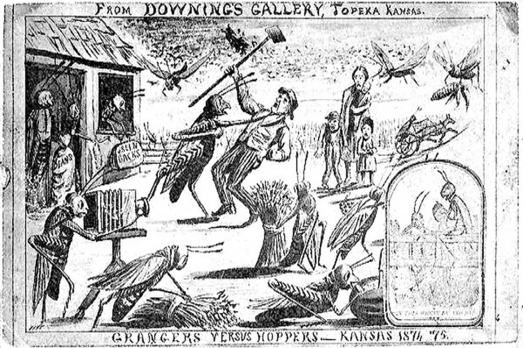 سال هایی که ملخ ها خوردند!