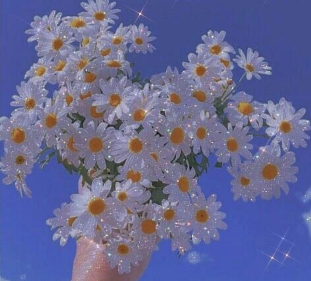 سلاممم من سبا با سین هستم
10 سالمه
علایق ام :
-1 داستان نوشتن
-2 ساز گیتار
-3 بزرگ شدن و نوجوانی
4-موسیقی خارجی و بی کلام
-5 کلاس علوم و ریاضی و هنر
-6 ورزش میخوام-