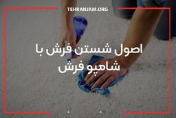 پاک کردن لکه با شامپو فرش