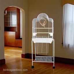 محل مناسب برای گذاشتن قفس طوطی در منزل کجاست؟