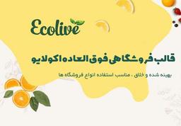 قالب وردپرس اکولایو ecolive مناسب سایت های سوپر مارکتی