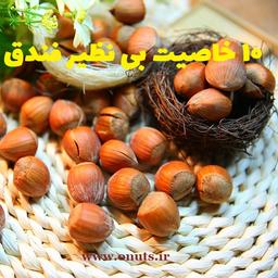 10 خاصیت بی نظیر مغز فندق