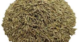 زیره سبز : خرید و خواص آن