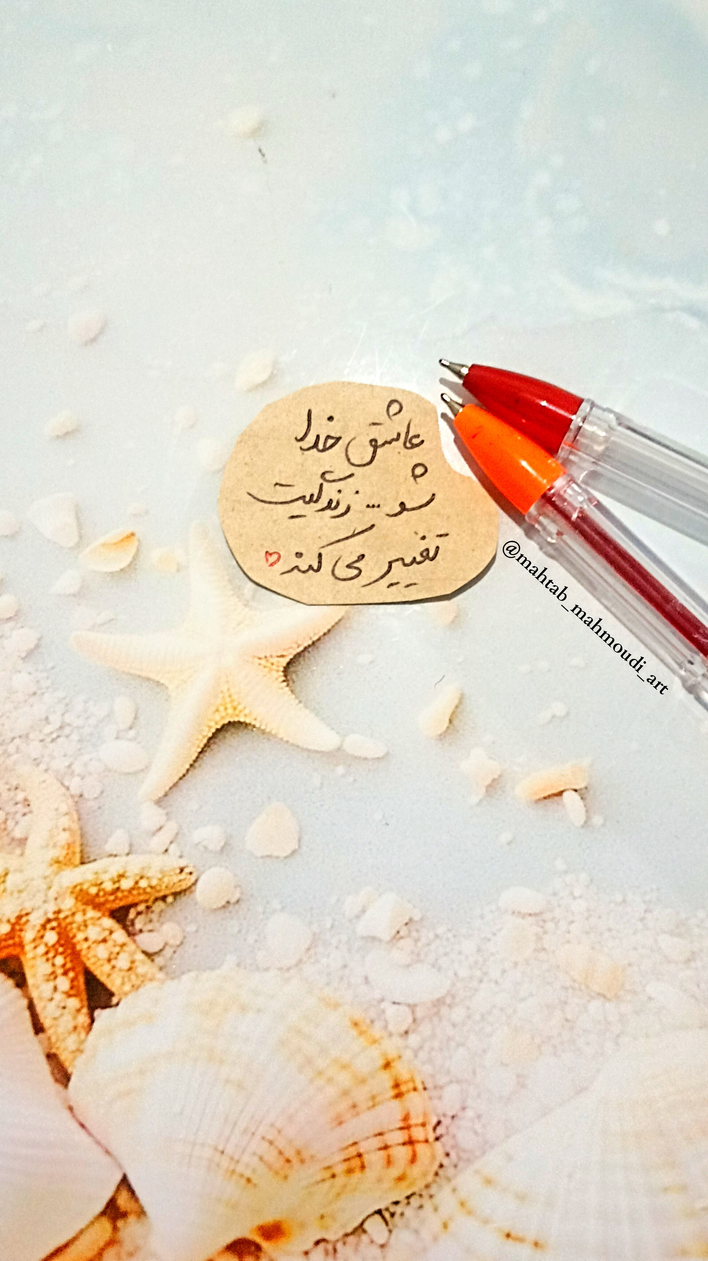 این جوانی ها بهترین روزای زندگی منه