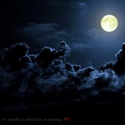 پرنیان ناصری