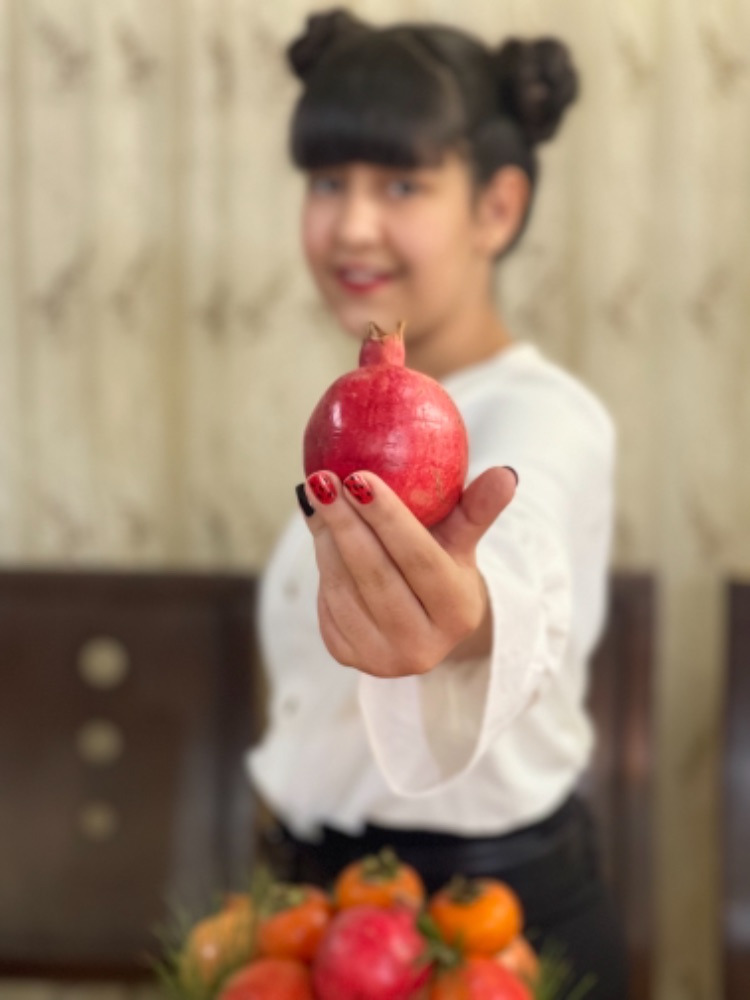 پرنیان ناصری