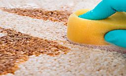 Clean carpet stains with homemade solutions
