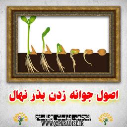 نهال شناسی | پرورش انواع نهال | اصلاح نژاد و بهبود تولیدات