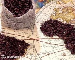 همه چیز در رابطه با قهوه