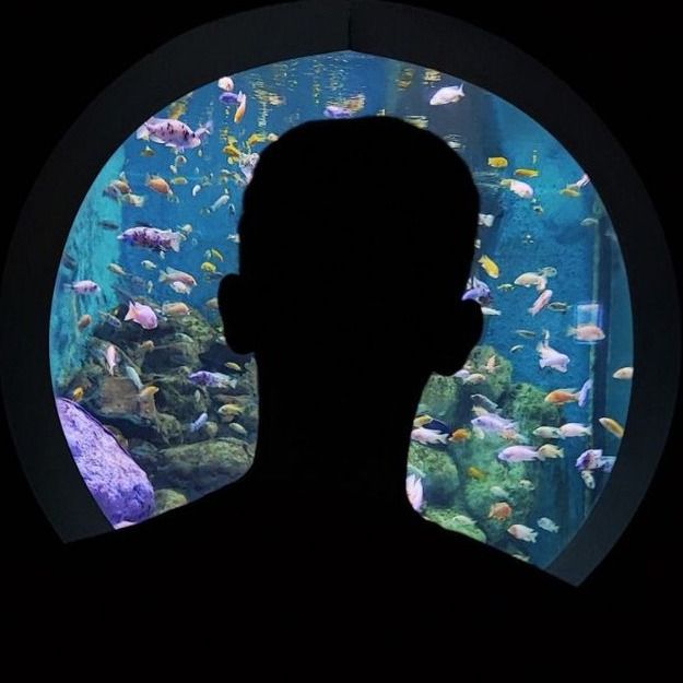 عرفان قاسمی