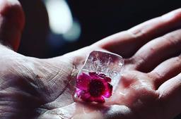 درباره نوشیدنی‌های سرد: تاریخچه یخ