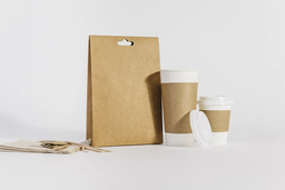 لیوان بیرون بر مخصوص کافی شاپ چه ویژگی هایی باید داشته باشد؟