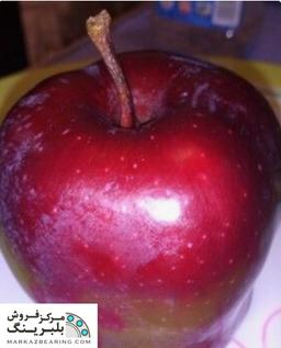 بلبرینگ دستگاه واکس میوه