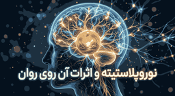 نوروپلاستیته و روان: مغز چگونه خود را از نو می‌نویسد؟