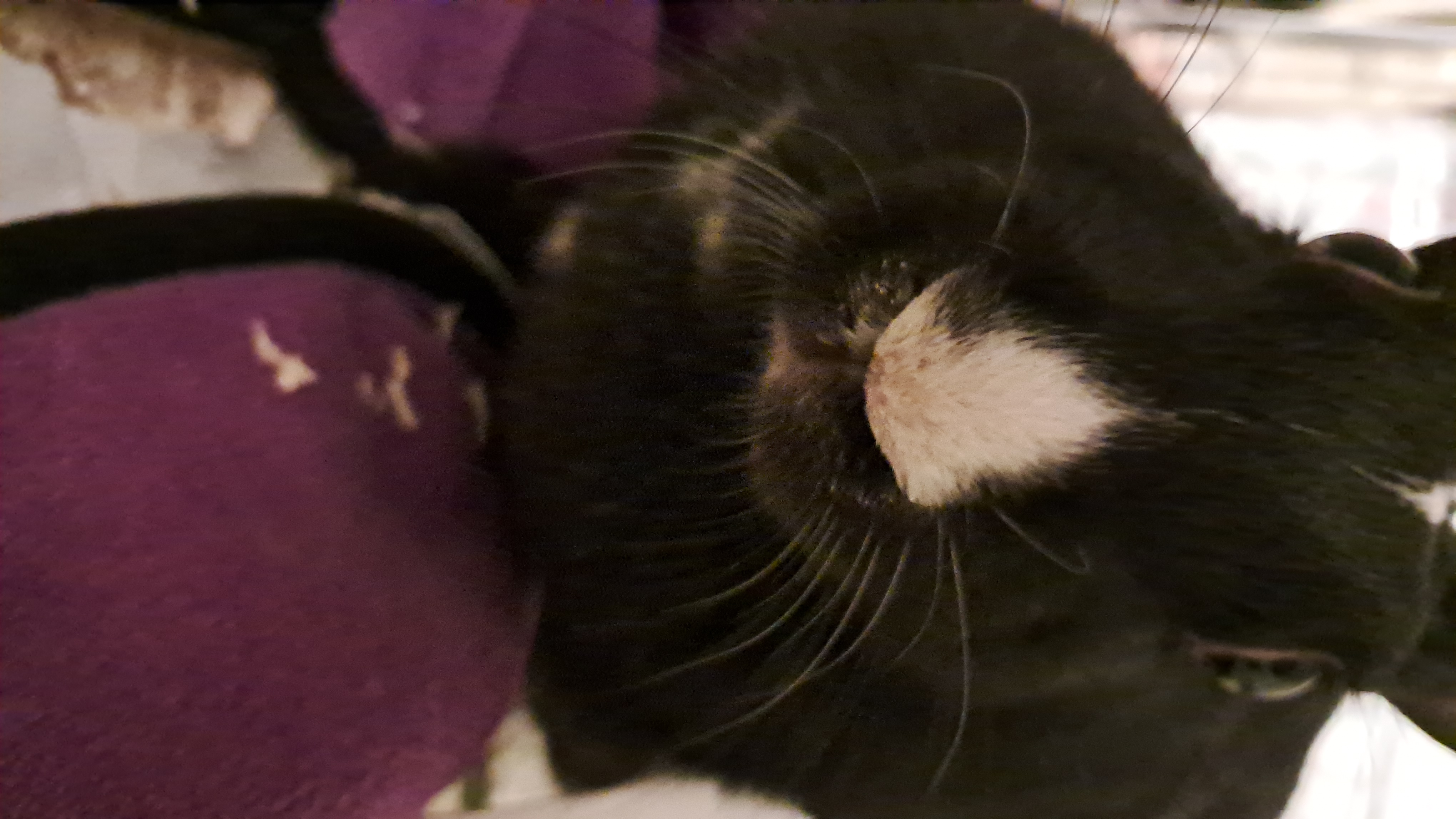 اگه دیگه نبودم، با این‌ها منو یادت بیار. (چالش هفته)