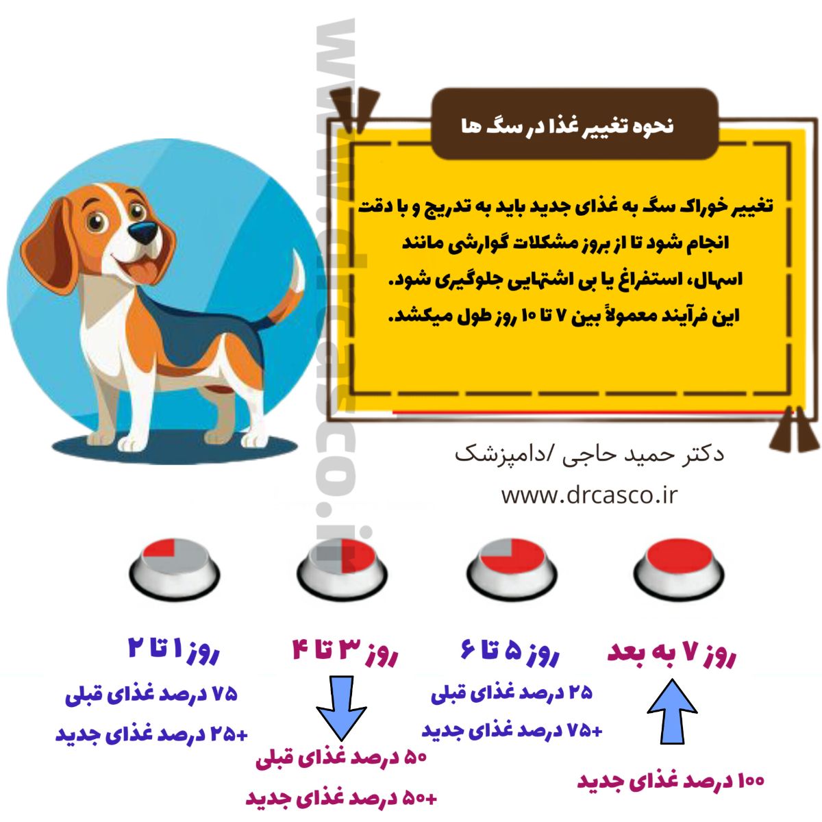 تغییر غذای سگ