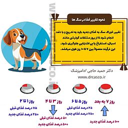 تغییر خوراک سگ به غذای جدید