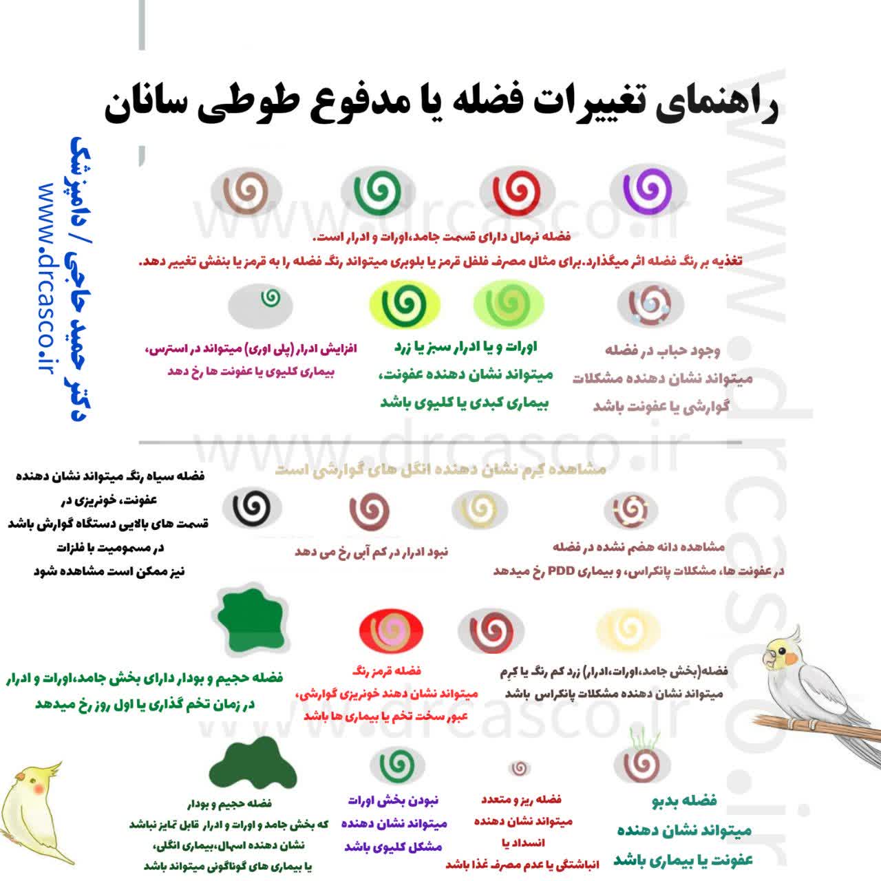 تغییرات فضله طوطی سانان(عروس هلندی،مرغ عشق،طوطی برزیلی و...)