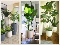 گل فروشی آنلاین صبح گل