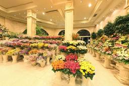 بهترین گل فروشی