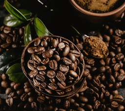 معرفی انواع قهوه اسپرسو، انواع دانه قهوه اسپرسو و بررسی قیمت انواع قهوه اسپرسو