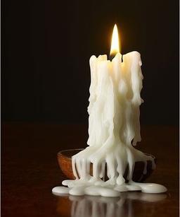 نه می‌­مانم؛ نه می‌­میرم!