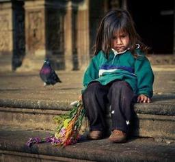 گلبرگ های خیس