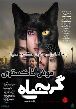 موش خاکستری | یادداشتی بر فیلم گربه سیاه