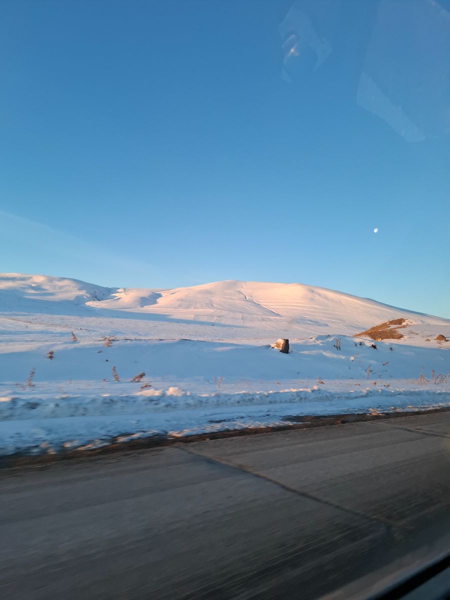 زمستان و هارمونی رنگ ها