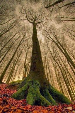 خرافات است یا من نمی شنوم؟