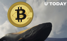 نهنگ های بیت کوین به حرکت درآمدند!