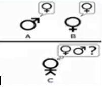 2-نگاهی «شناختی» به تعاریف و مفاهیم هوش