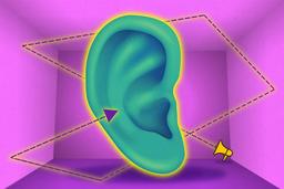 صدا از کجا می آید؟