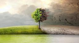 نامه ای از استانبول